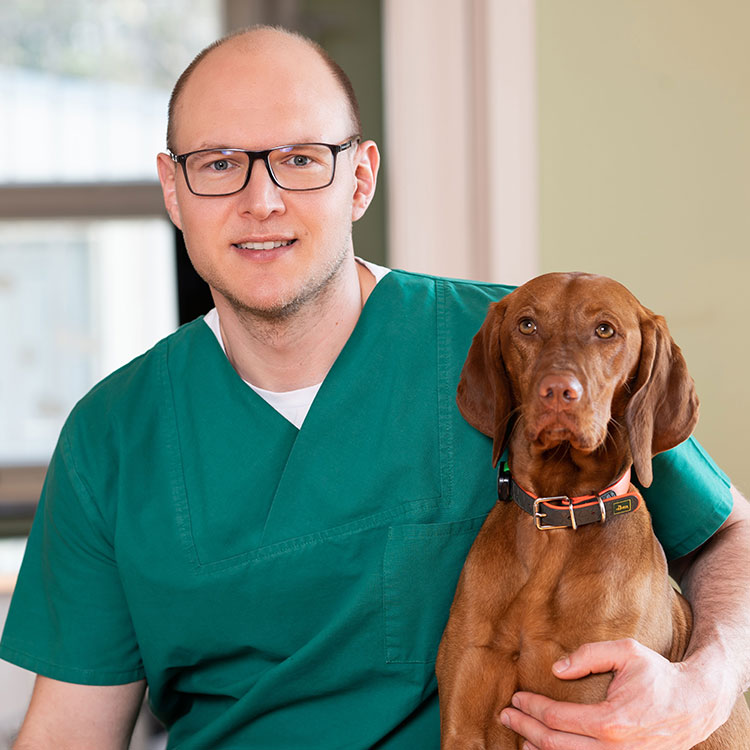 Tierarzt Dr. Christian Diekmann
