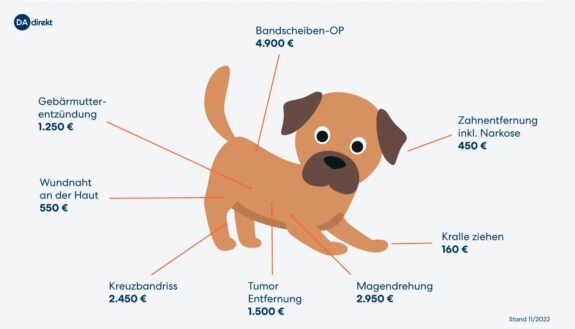 Behandlungskosten beim Tierarzt in Bünde: Ein Überblick über Preise und Leistungen