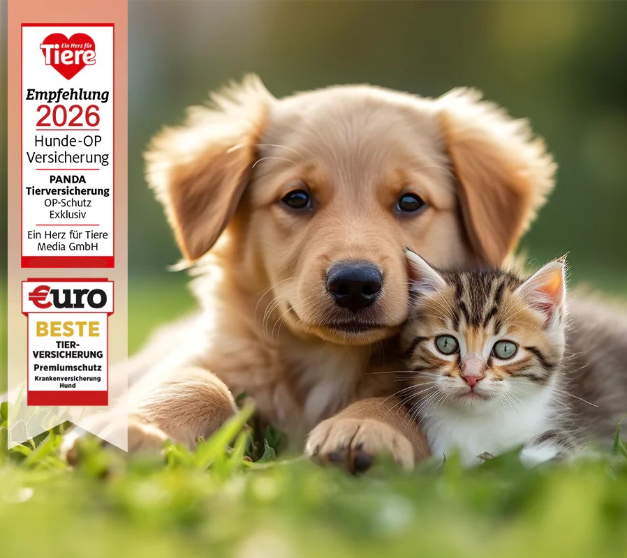 panda Tierversicherung